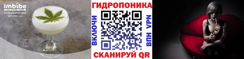 KRAKEN ONION  цена наркотик  Гдов  Cannafood марихуана 