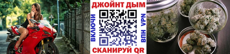 Шишки марихуана план где можно купить Гдов